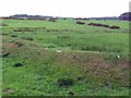The Fawns 'Manorial Earthworks' in NE19 2SN