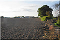 Field-edge path towards Upton in WR8 0NE