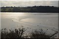 Creek in mud, Teign estuary in TQ14 9PT