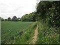 Footpath to Dam Lane, Saxton in LS24 9PY