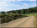 Forest road above Savary Glen, Lochaline in PA80 5XU