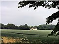Field of wheat and Lee cottage in S62 7TE