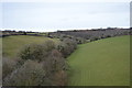Valley below Ham Green Viaduct in PL6 7AL