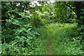 Bridleway near Tredington Park in GL20 7BY