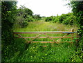 Gate in Butler's Hill in ME13 9HB