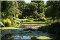 Water feature, Beth Chatto Gardens, Elmstead Market in CO7 7EX