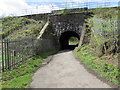 East side of a railway bridge, Tir-y-berth in CF82 8AH