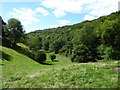 Toadsmoor Woods and the Toadsmoor Valley in GL6 7ED