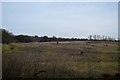 Former landfill site (old clay pit) in TN27 0DZ