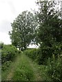 Footpath to Chapel Farm, Yatton in HR9 7QZ