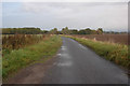 Country Road west of West Dereham in PE33 9RW