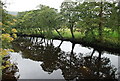 River Derwent from Froggatt bridge in S32 3ZH
