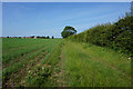 Bridleway leading to Howsham in DN38 6BW