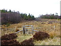 Gate in fence below Creag nan Garadh in IV52 8AB