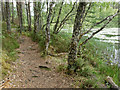 Path by the shore of Loch na Crann in IV14 9ES