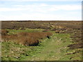 Path on Burntridge Moor above Westburnhope in NE47 0HT