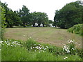 Green space next to Molehill Road in CT5 3NZ