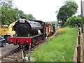Locomotives at Bronwydd Arms in SA33 6JB