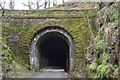 Shaugh Tunnel, north portal in PL6 7AP