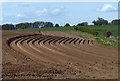 Ploughed field near Whitekirk in EH42 1XT