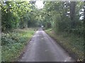 Lane north from Rougham in PE32 2SU