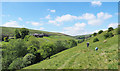 Grassy path in West Stonesdale in DL11 6EA