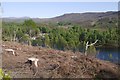 Felled area, Craiganour Forest in PH16 5PB