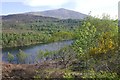 Dunalastair Reservoir and Schiehallion in PH16 5PB