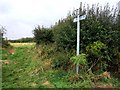 Bridleway to Calceby in South Thoresby