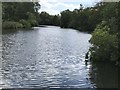 The River Bure west of Wroxham in Norfolk in NR12 8SF