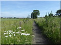 Footpath alongside a field in TW4 7NH