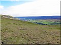 Moorland south-east of Fell End in DL11 6QT