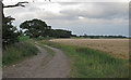 Farm track and cereal crop, South Cove in South Cove