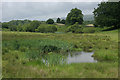 Pond and wetland beside the A803 in G68 0AP