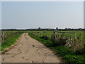 Farm road leading east in NR29 4DW