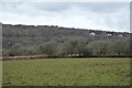 Field near Hoo Meavy Farm in PL20 6HZ