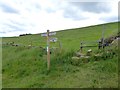 Path junction near Gnipe Howe Farm in YO22 4LH
