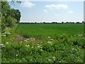 Farmland east of Old Stretham Station in CB6 3QD