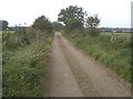 Lane west towards Fincham Farm in PE32 2FQ