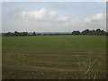 North over arable near Fincham Farm in PE32 2FQ