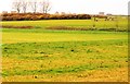 Grassland by Hunstanton Rd in PE36 5JE