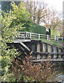 Footbridge, Old Nene, Benwick in PE15 0YQ