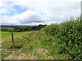 Farm track west of Southcott in EX36 4ND
