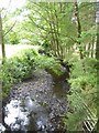 Little Silver Stream at Milltown Hill in EX36 4ND