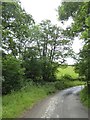 Crossing the Parsonage Lake in Lower Wood in EX36 4NP