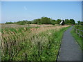 Boardwalk [north-east side], Wicken Fen in CB7 5XW