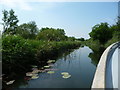 Wicken Lode, from the National Trust trip boat in CB7 5YQ