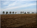 View NW across ploughed field in NR29 4DX