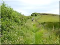 Walkers on the Cleveland Way south of Petard Point in YO13 0EY