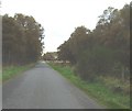 Road through Drum Woods in AB31 5ES